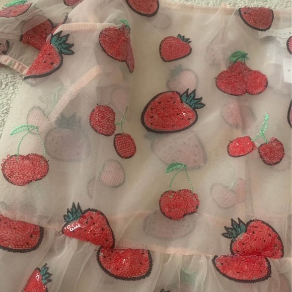 NWT Pink Strawberry & Cherry Sequin Peplum Puff Sleeve Sheer Top - Picture 5 of 6